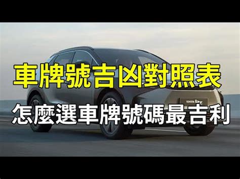 大吉車牌號碼2024|2024開運車牌大全